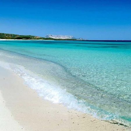 Villa Indipendente Al Mare Budoni Tanaunella Kültér fotó