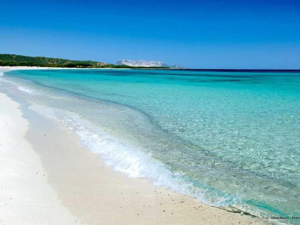 Villa Indipendente Al Mare Budoni Tanaunella Kültér fotó