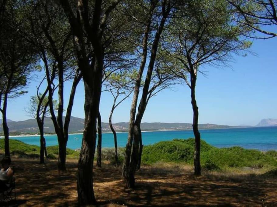 Villa Indipendente Al Mare Budoni Tanaunella Kültér fotó
